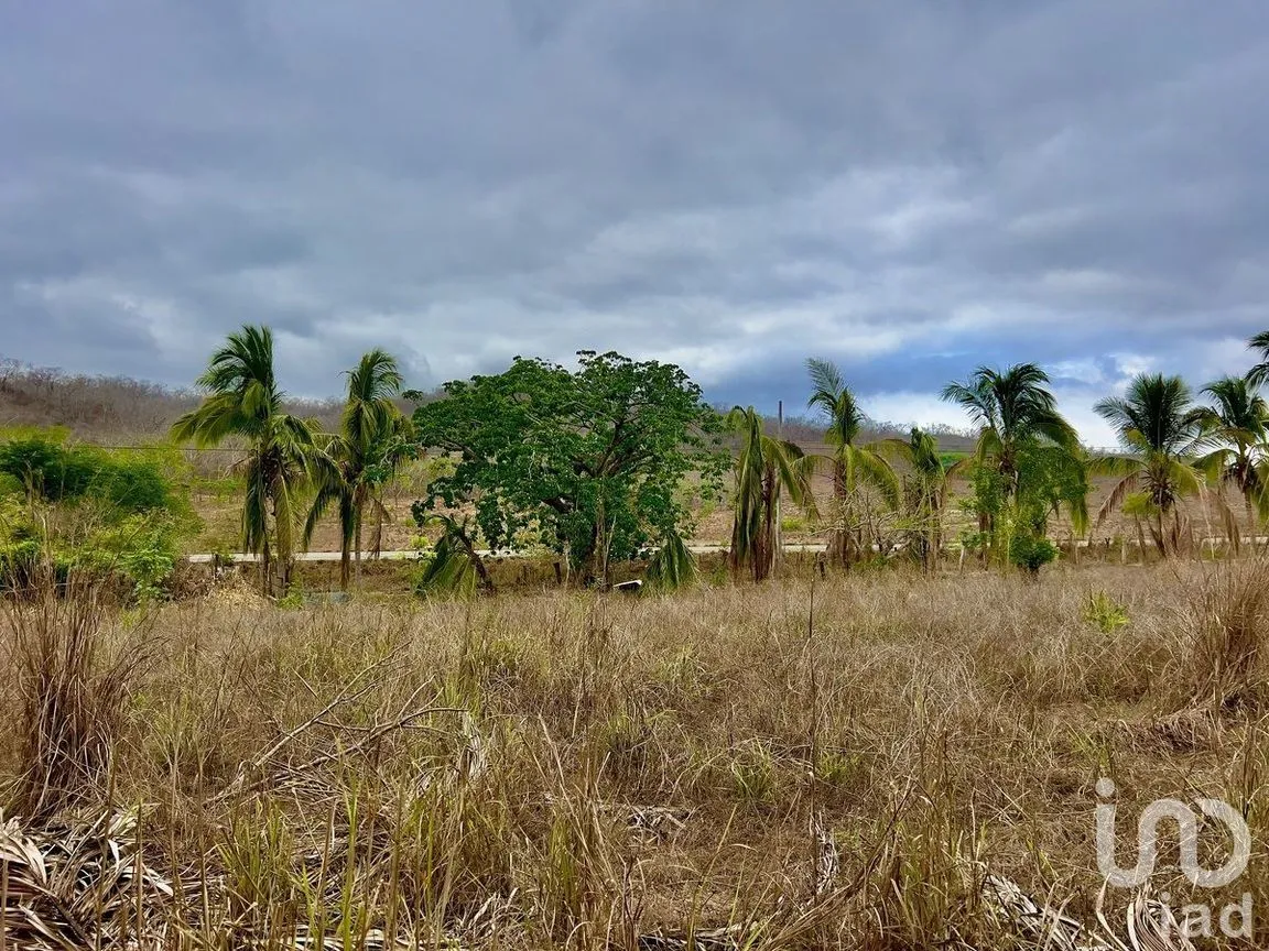 Terreno en Venta en Tomatlan, Tomatlán, Jalisco | NEX-231658 | iad México | Foto 14 de 17