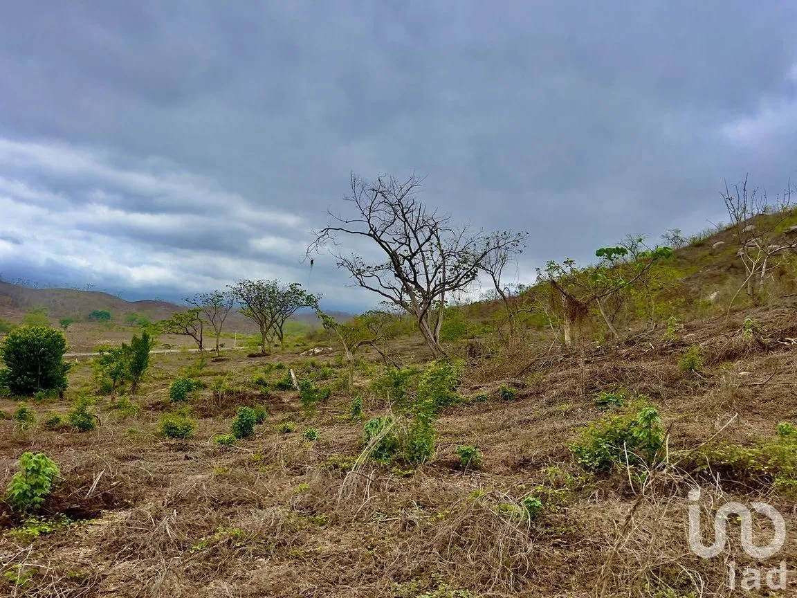 Terreno en Venta en Tomatlan, Tomatlán, Jalisco | NEX-231658 | iad México | Foto 5 de 17
