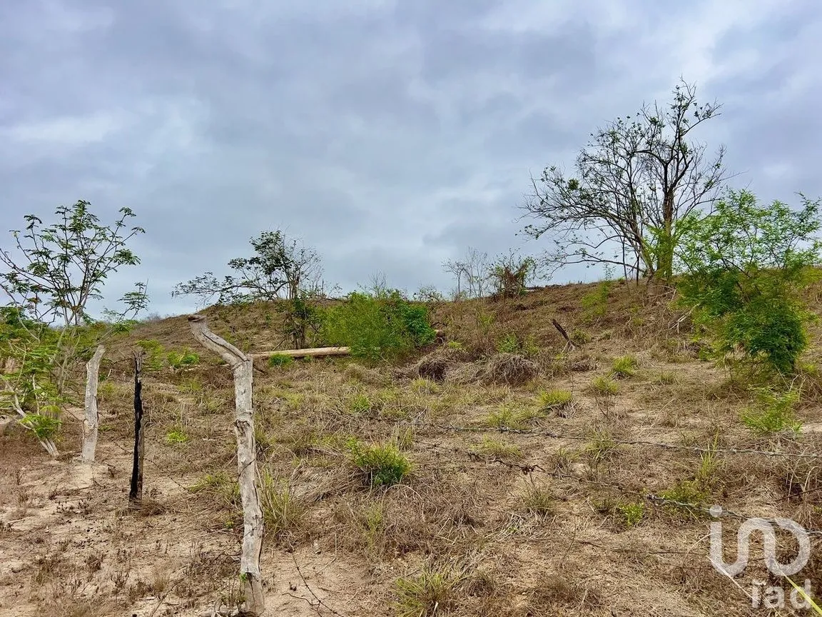 Terreno en Venta en Tomatlan, Tomatlán, Jalisco | NEX-231658 | iad México | Foto 6 de 17