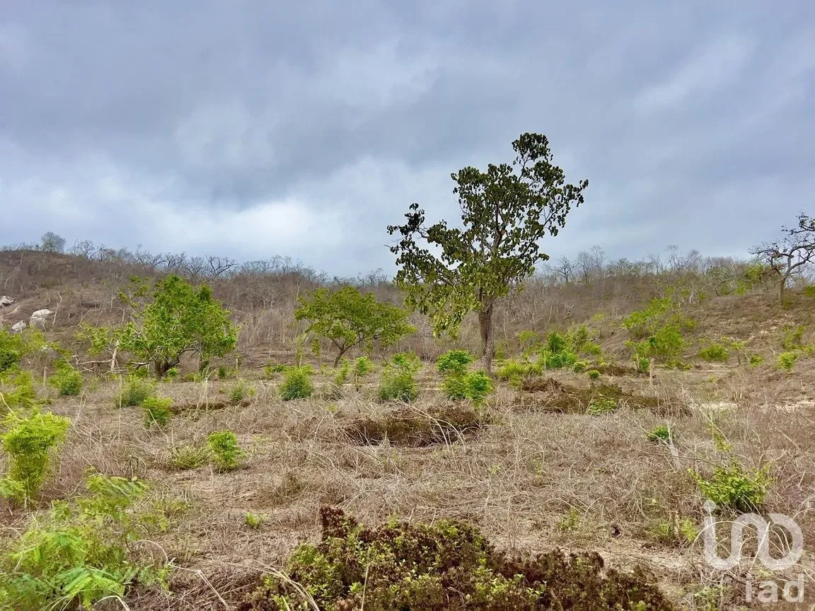 Terreno en Venta en Tomatlan, Tomatlán, Jalisco | NEX-231658 | iad México | Foto 9 de 17