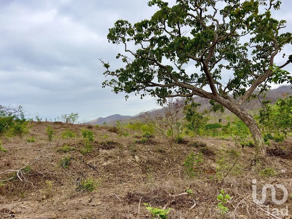 Terreno en Venta en Tomatlan, Tomatlán, Jalisco | NEX-231658 | iad México | Foto 10 de 17
