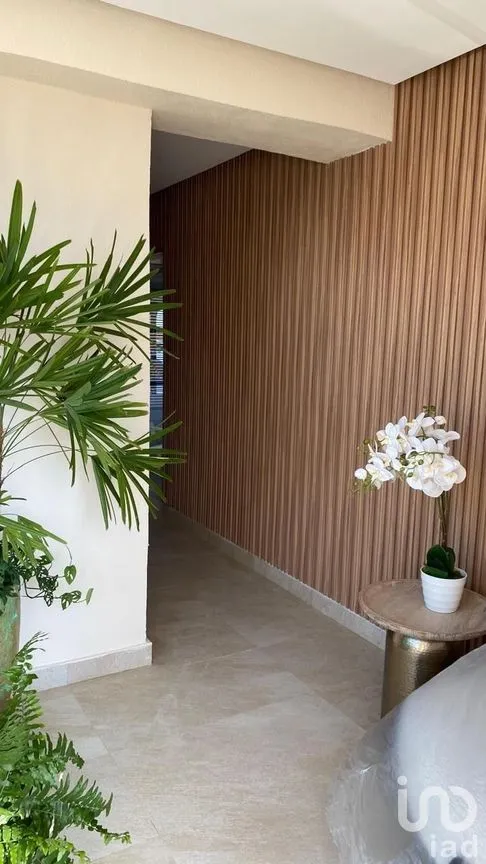 Departamento en Renta en Costa de Oro, Boca del Río, Veracruz | NEX-291623 | iad México | Foto 4 de 21