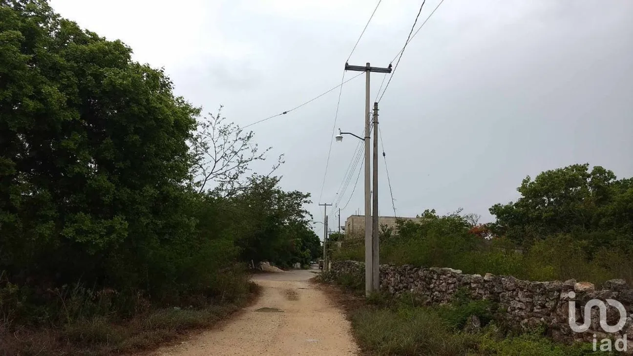 Terreno en Venta en Chicxulub Puerto, Progreso, Yucatán | NEX-108354 | iad México | Foto 4 de 7