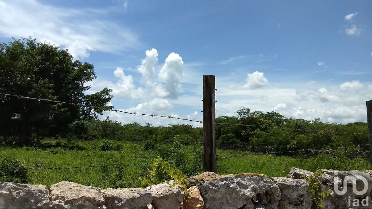 Terreno en Venta en Chicxulub Puerto, Progreso, Yucatán | NEX-108354 | iad México | Foto 1 de 7