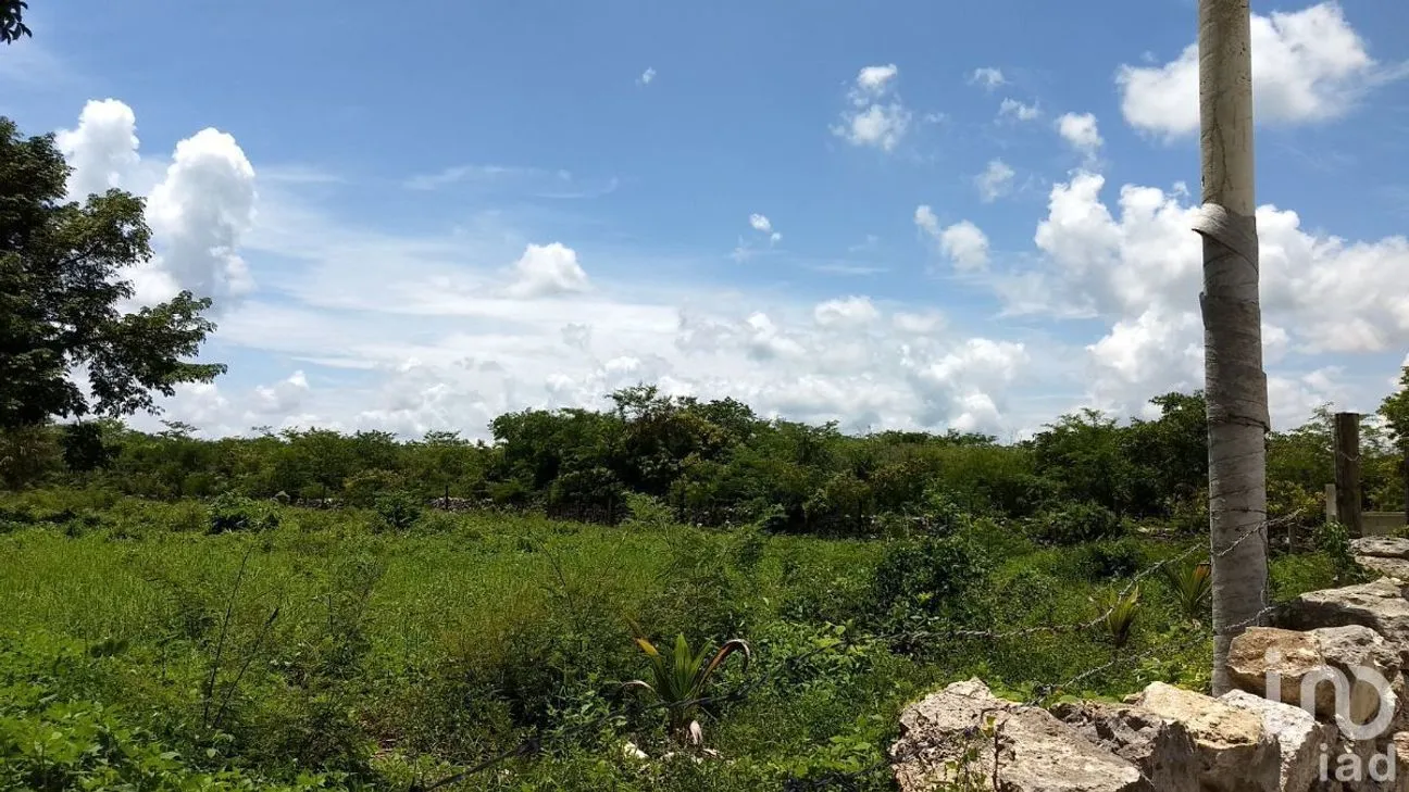 Terreno en Venta en Chicxulub Puerto, Progreso, Yucatán | NEX-108354 | iad México | Foto 2 de 7