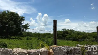 NEX-108354 - Terreno en Venta en Chicxulub Puerto, CP 97330, Yucatán.