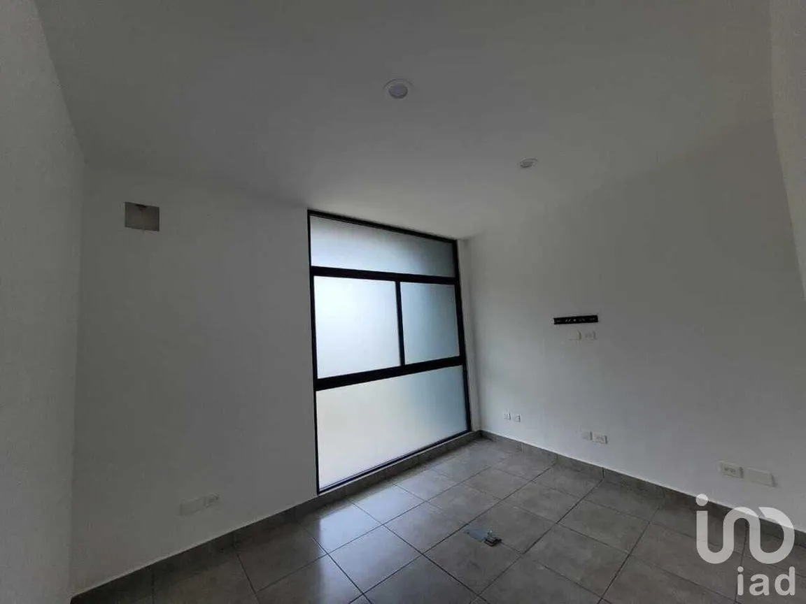Oficina en Renta en San Antonio Cinta, Mérida, Yucatán | NEX-231557 | iad México | Foto 3 de 9