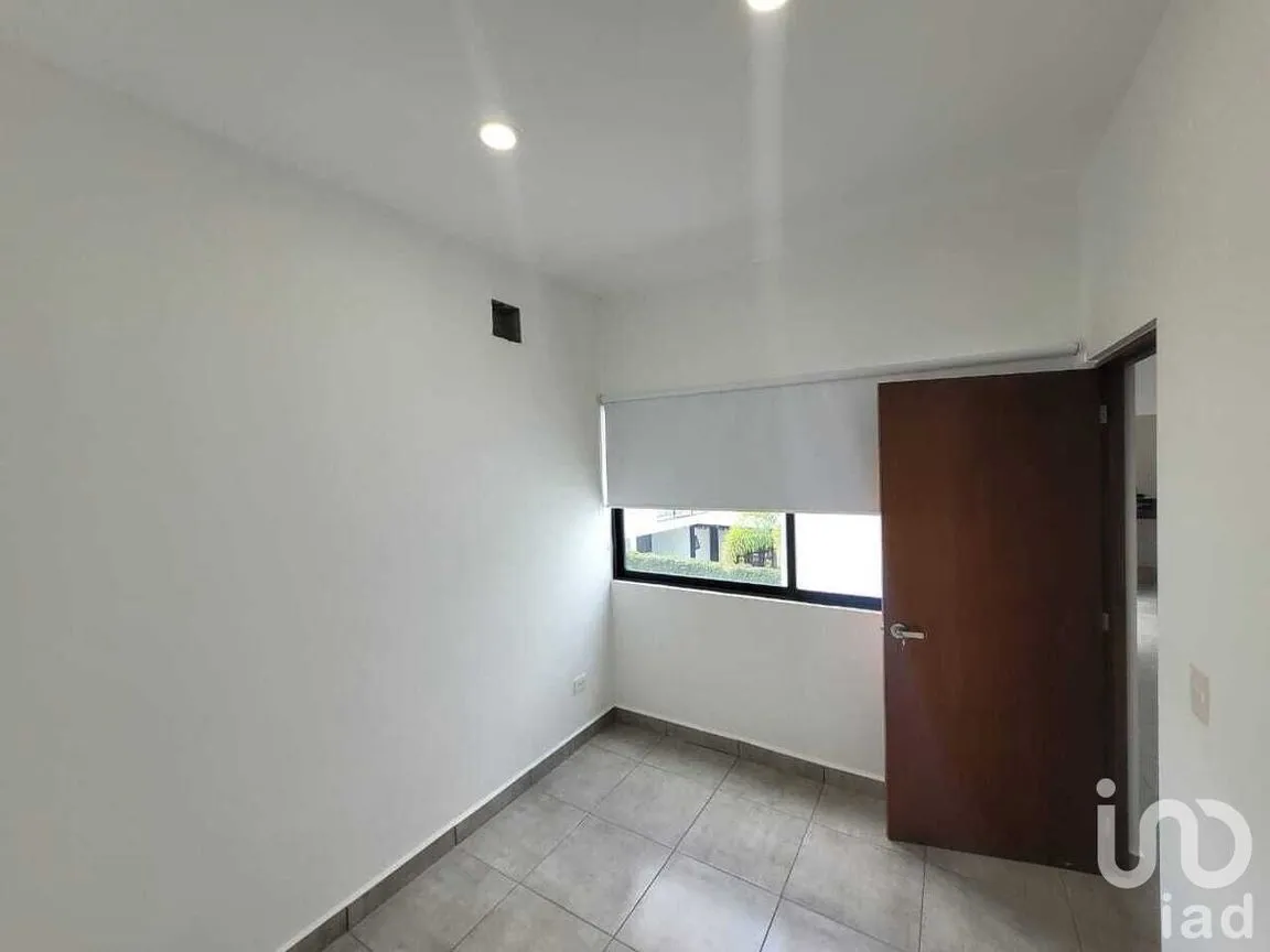 Oficina en Renta en San Antonio Cinta, Mérida, Yucatán | NEX-231557 | iad México | Foto 6 de 9