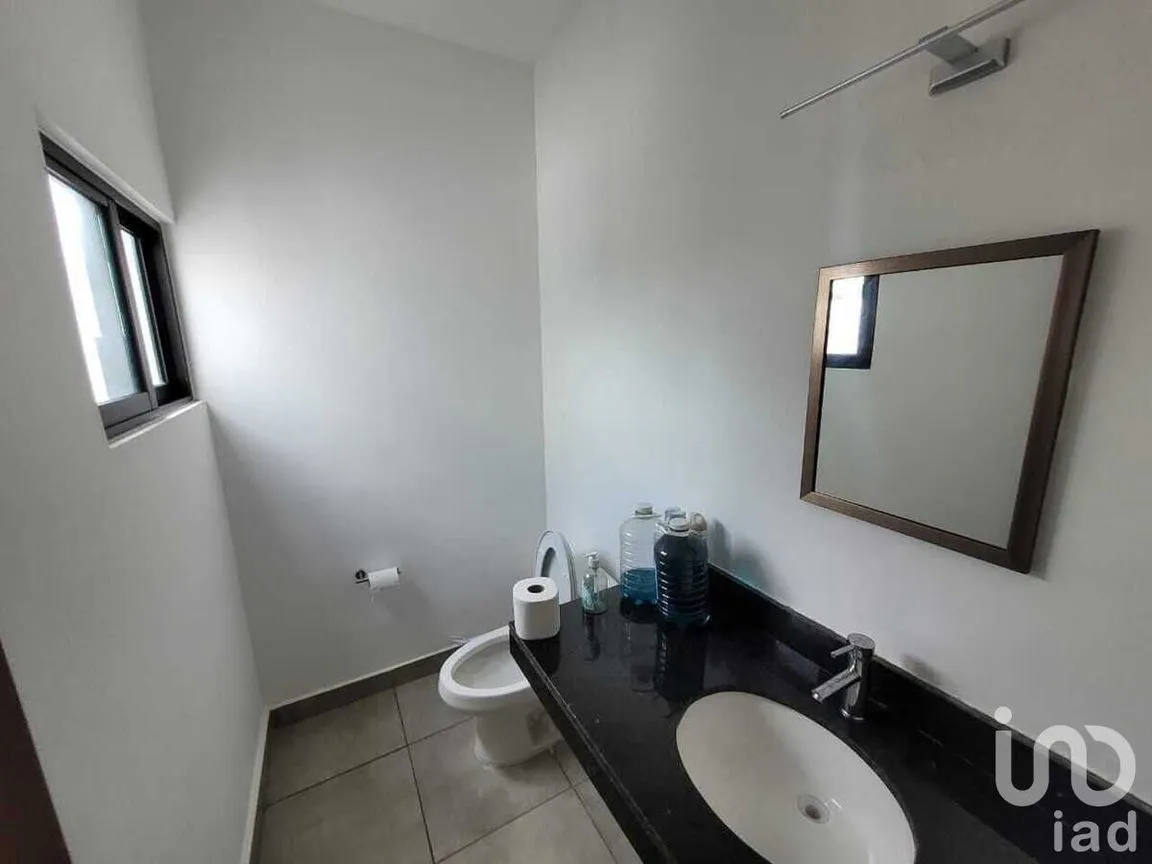 Oficina en Renta en San Antonio Cinta, Mérida, Yucatán | NEX-231557 | iad México | Foto 8 de 9