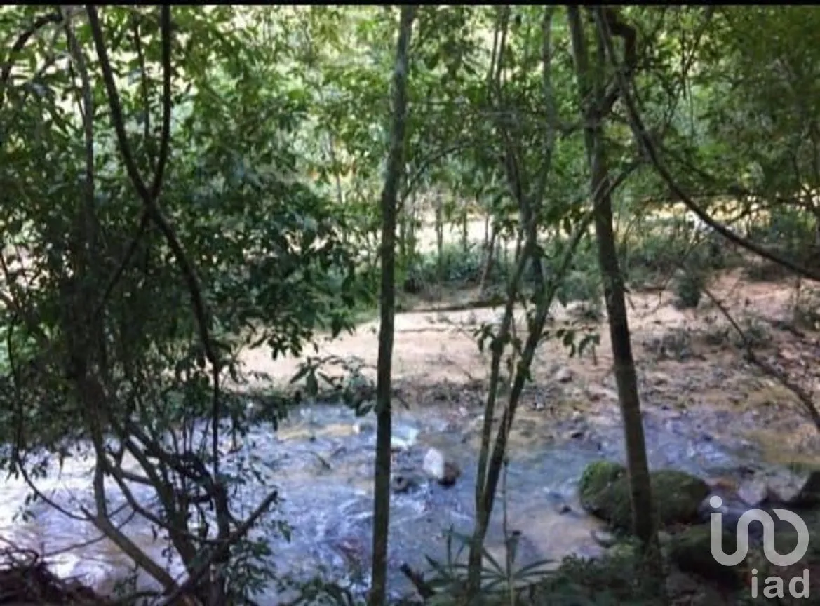 Terreno en Venta en El Tuito, Cabo Corrientes, Jalisco | NEX-271367 | iad México | Foto 13 de 20