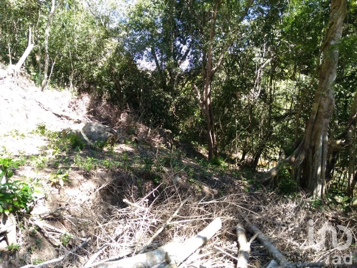 Terreno en Venta en El Tuito, Cabo Corrientes, Jalisco | NEX-271367 | iad México | Foto 16 de 20