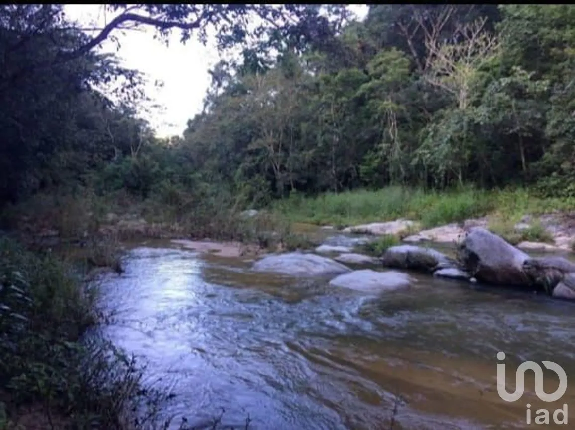 Terreno en Venta en El Tuito, Cabo Corrientes, Jalisco | NEX-271367 | iad México | Foto 17 de 20