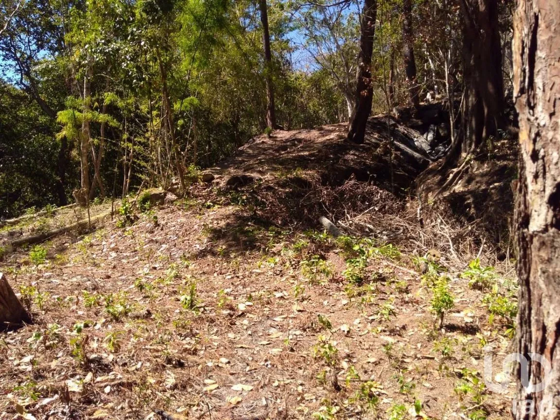 Terreno en Venta en El Tuito, Cabo Corrientes, Jalisco | NEX-271367 | iad México | Foto 18 de 20