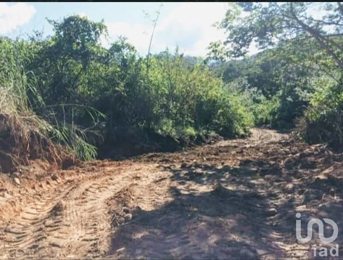 Terreno en Venta en El Tuito, Cabo Corrientes, Jalisco | NEX-271367 | iad México | Foto 5 de 20