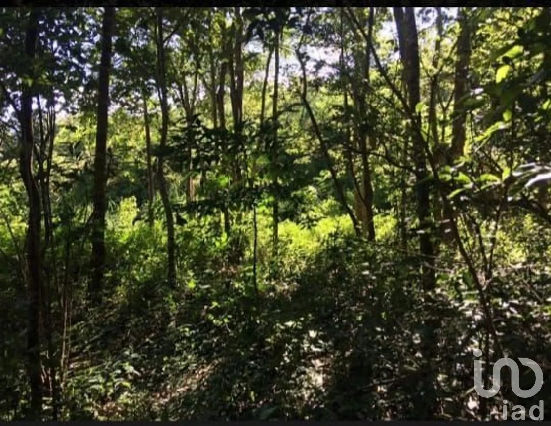 Terreno en Venta en El Tuito, Cabo Corrientes, Jalisco | NEX-271367 | iad México | Foto 6 de 20