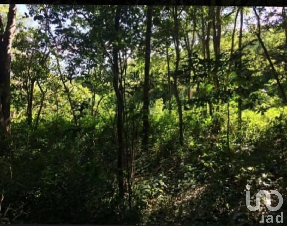 Terreno en Venta en El Tuito, Cabo Corrientes, Jalisco | NEX-271367 | iad México | Foto 9 de 20
