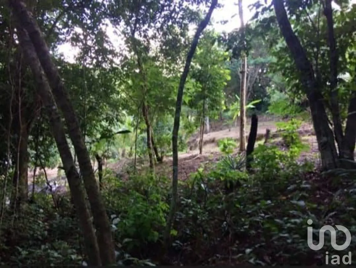 Terreno en Venta en El Tuito, Cabo Corrientes, Jalisco | NEX-271367 | iad México | Foto 10 de 20