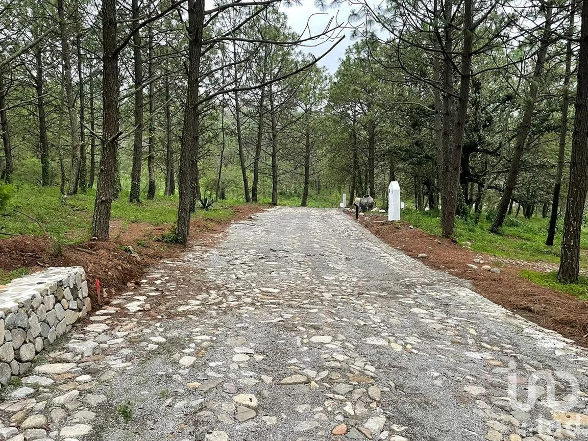 Terreno en Venta en Atacco, Tapalpa, Jalisco | NEX-272137 | iad México | Foto 3 de 16
