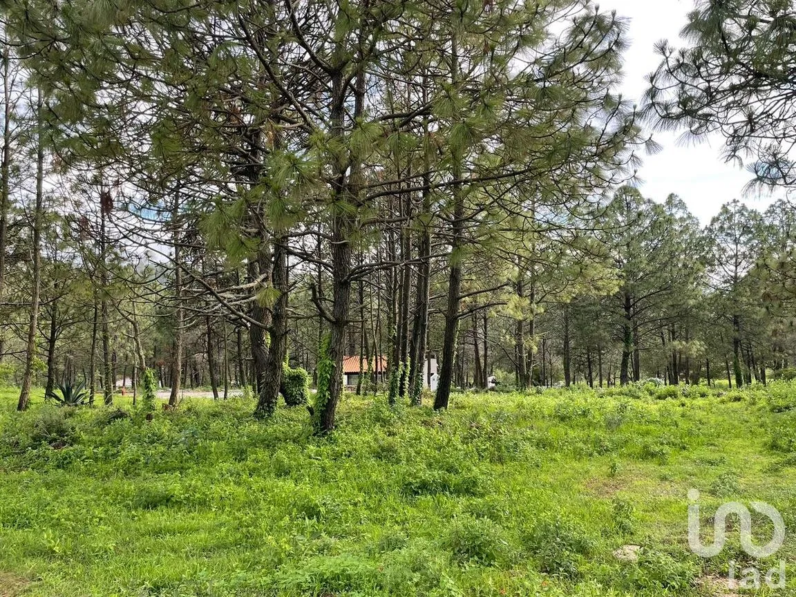 Terreno en Venta en Atacco, Tapalpa, Jalisco | NEX-272137 | iad México | Foto 6 de 16