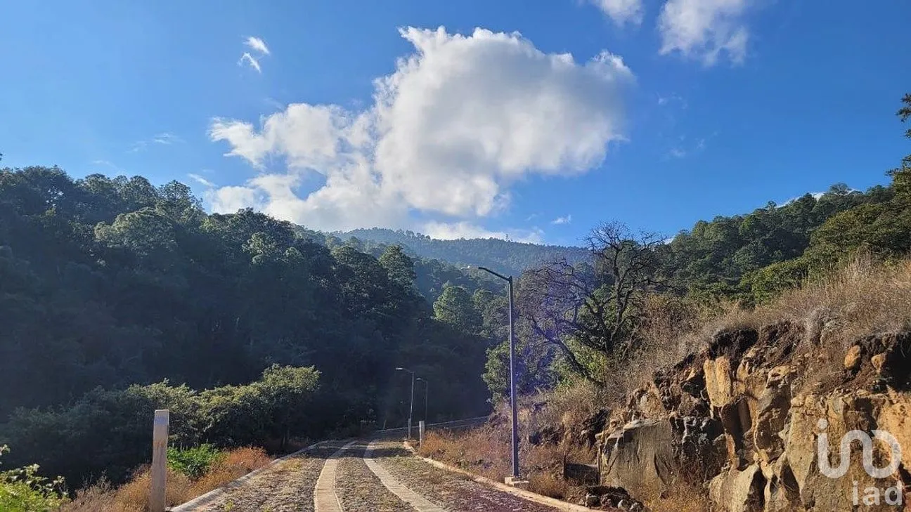 Terreno en Venta en Mazamitla, Mazamitla, Jalisco | NEX-284453 | iad México | Foto 2 de 12