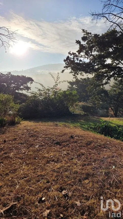 Terreno en Venta en Mazamitla, Mazamitla, Jalisco | NEX-284453 | iad México | Foto 3 de 12