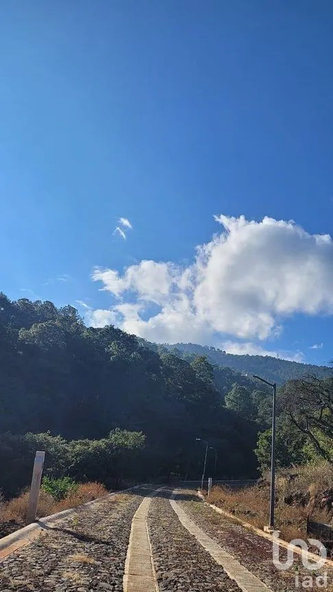 Terreno en Venta en Mazamitla, Mazamitla, Jalisco | NEX-284453 | iad México | Foto 10 de 12