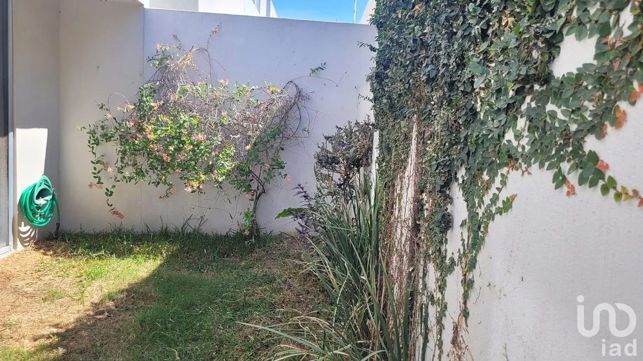 Casa en Renta en Copalita, Zapopan, Jalisco | NEX-289006 | iad México | Foto 7 de 17