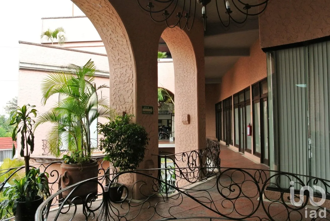 Oficina en Renta en Cantarranas, Cuernavaca, Morelos | NEX-267642 | iad México | Foto 22 de 37