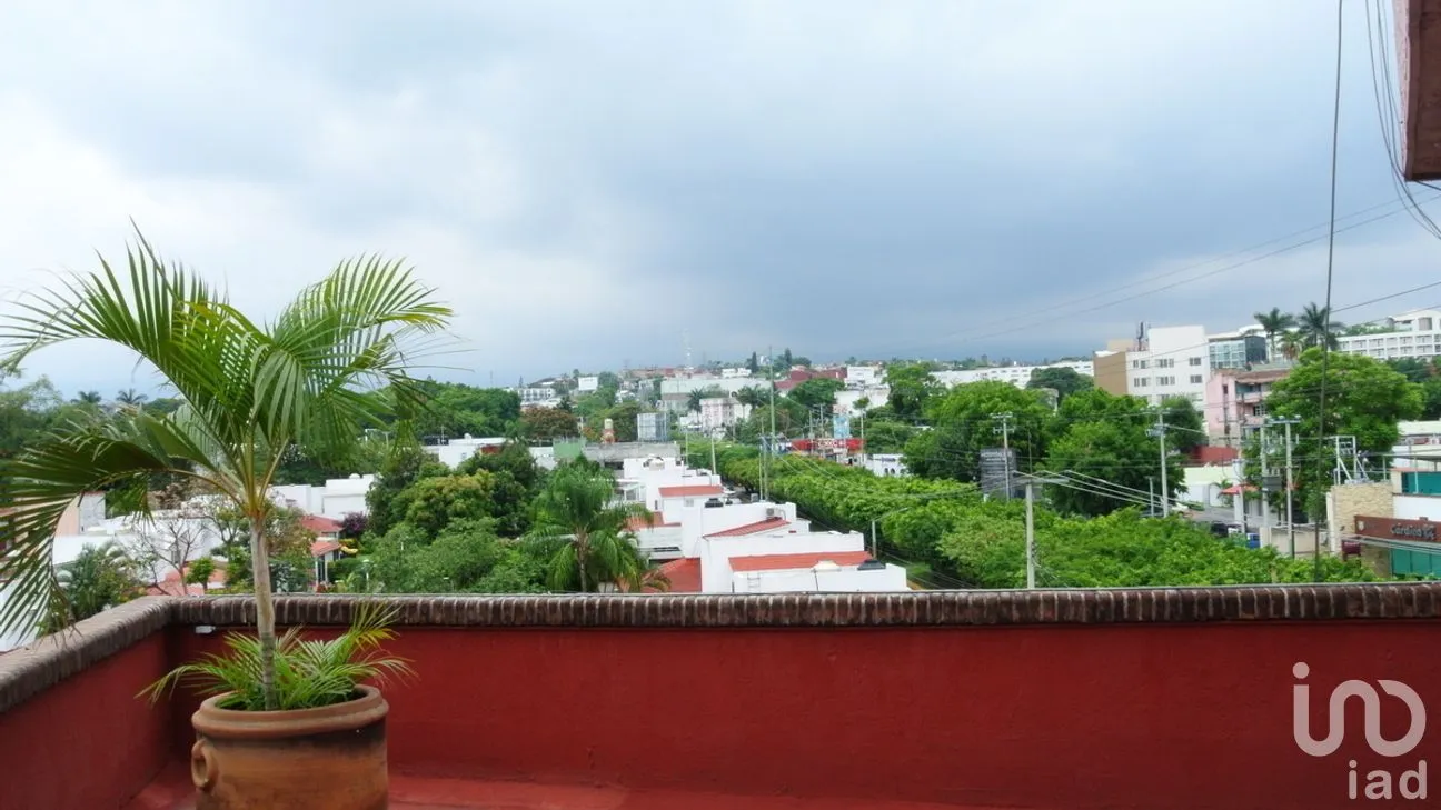 Oficina en Renta en Cantarranas, Cuernavaca, Morelos | NEX-267646 | iad México | Foto 31 de 37