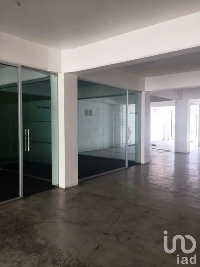 Oficina en Renta en Roma Norte, Cuauhtémoc, Ciudad de México | NEX-268216 | iad México | Foto 9 de 11