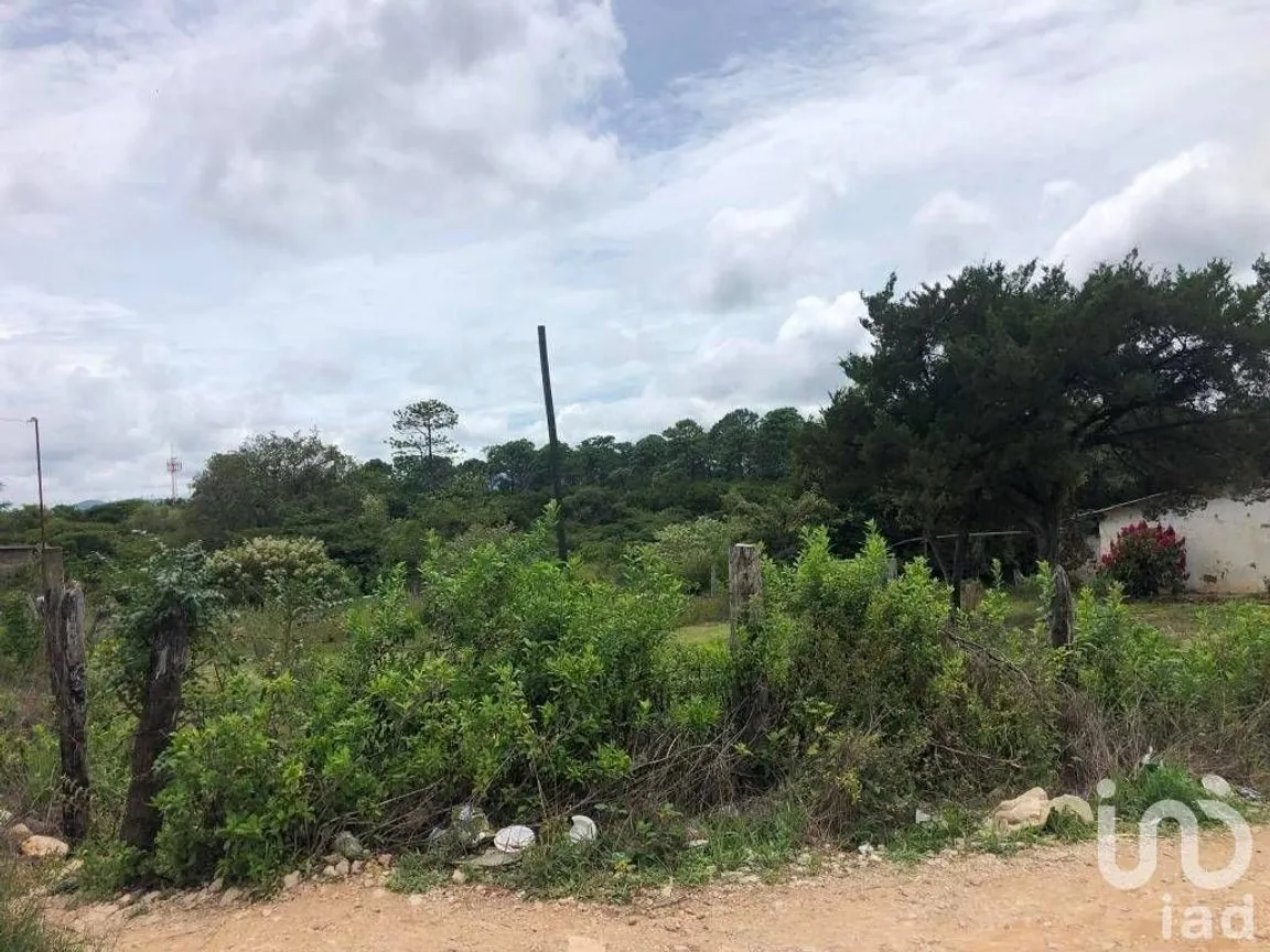 Terreno en Venta en Chichima Concepción, Comitán de Domínguez, Chiapas | NEX-228420 | iad México | Foto 4 de 8