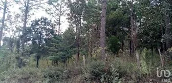 NEX-283087 - Terreno en Venta en Guadalupe, CP 29410, Chiapas.