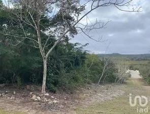 NEX-283095 - Terreno en Venta en Berriozabal Centro, CP 29130, Chiapas.
