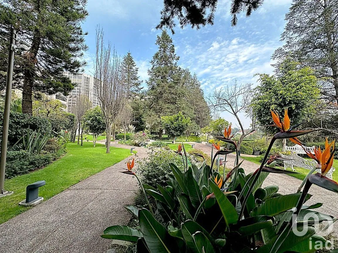 Departamento en Venta en Bosques de las Lomas, Cuajimalpa de Morelos, Ciudad de México | NEX-280627 | iad México | Foto 30 de 33