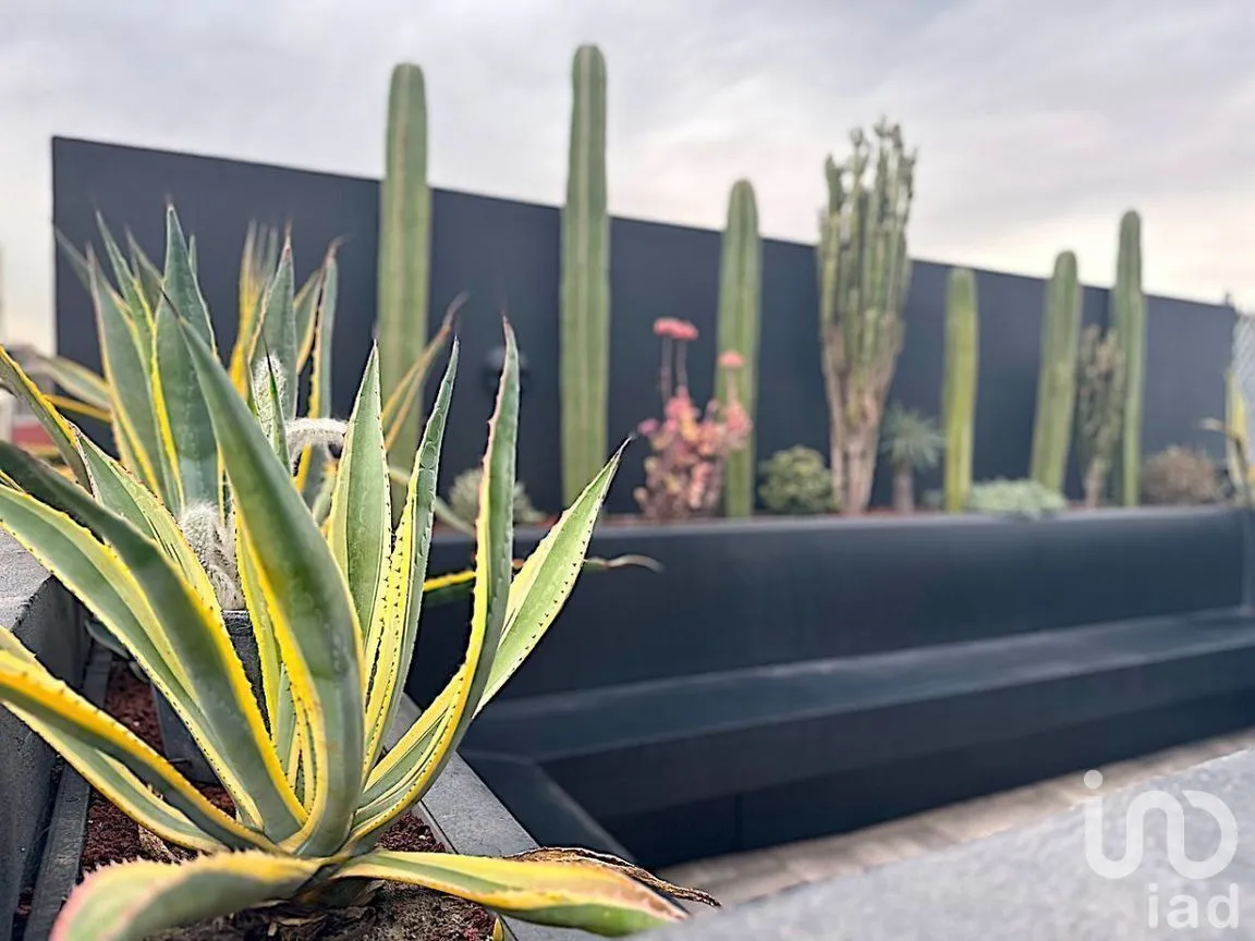 Departamento en Venta en Roma Norte, Cuauhtémoc, Ciudad de México | NEX-280689 | iad México | Foto 9 de 39