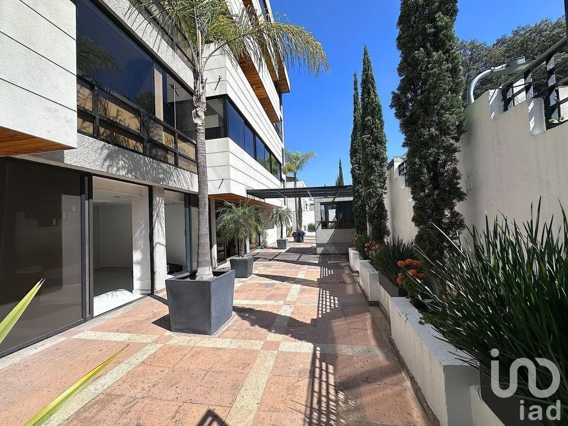 Departamento en Venta en Bosques de las Lomas, Cuajimalpa de Morelos, Ciudad de México | NEX-280693 | iad México | Foto 36 de 41