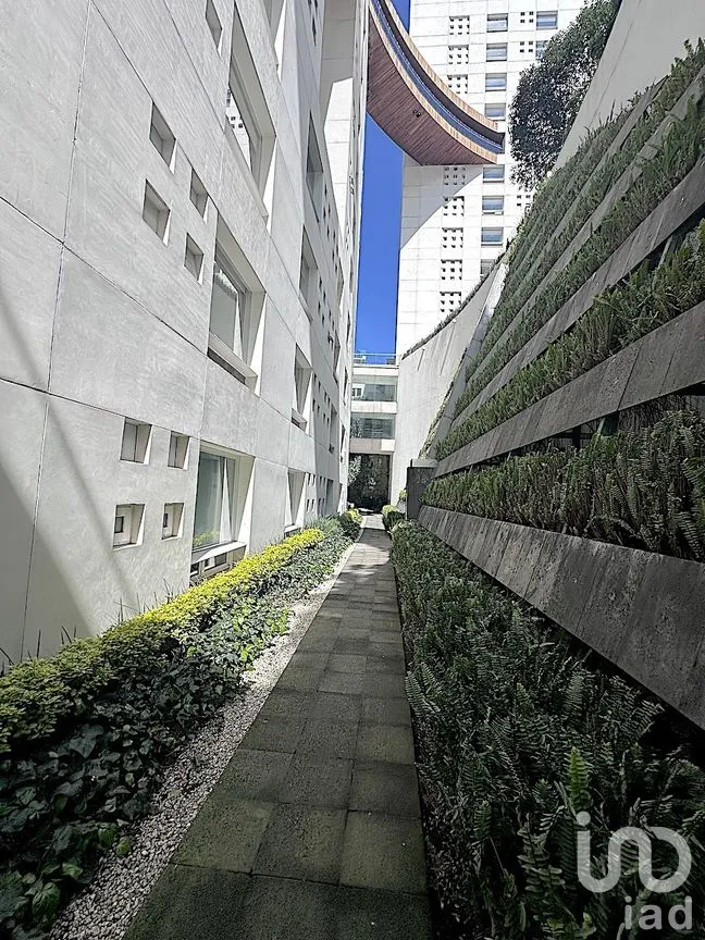 Departamento en Venta en Lomas de Bezares, Miguel Hidalgo, Ciudad de México | NEX-280702 | iad México | Foto 34 de 36
