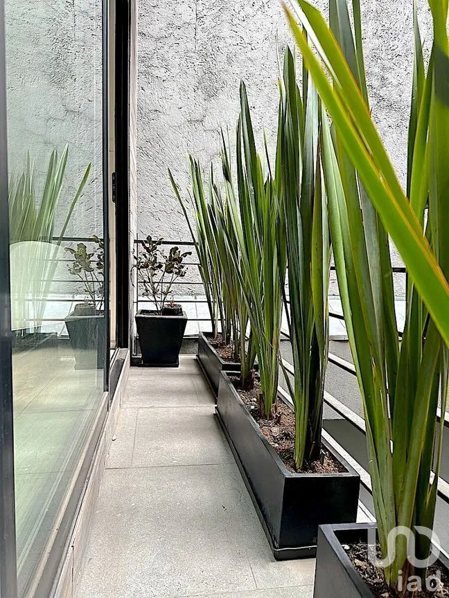 Departamento en Venta en Roma Norte, Cuauhtémoc, Ciudad de México | NEX-293134 | iad México | Foto 16 de 26