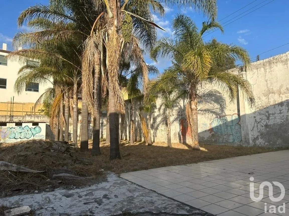 Terreno en Venta en Hidalgo, Puebla, Puebla | NEX-266386 | iad México | Foto 9 de 12