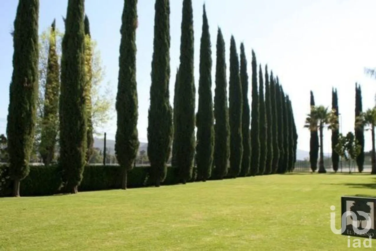 Terreno en Venta en Club de Golf el Cristo, Atlixco, Puebla | NEX-266484 | iad México | Foto 9 de 9