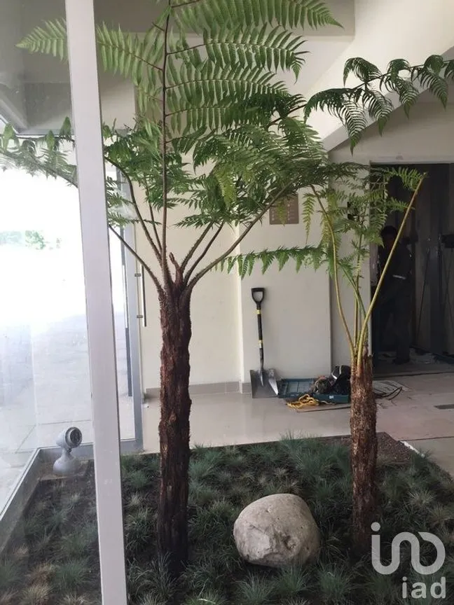Departamento en Venta en Santa Cruz Guadalupe, Puebla, Puebla | NEX-270611 | iad México | Foto 5 de 31