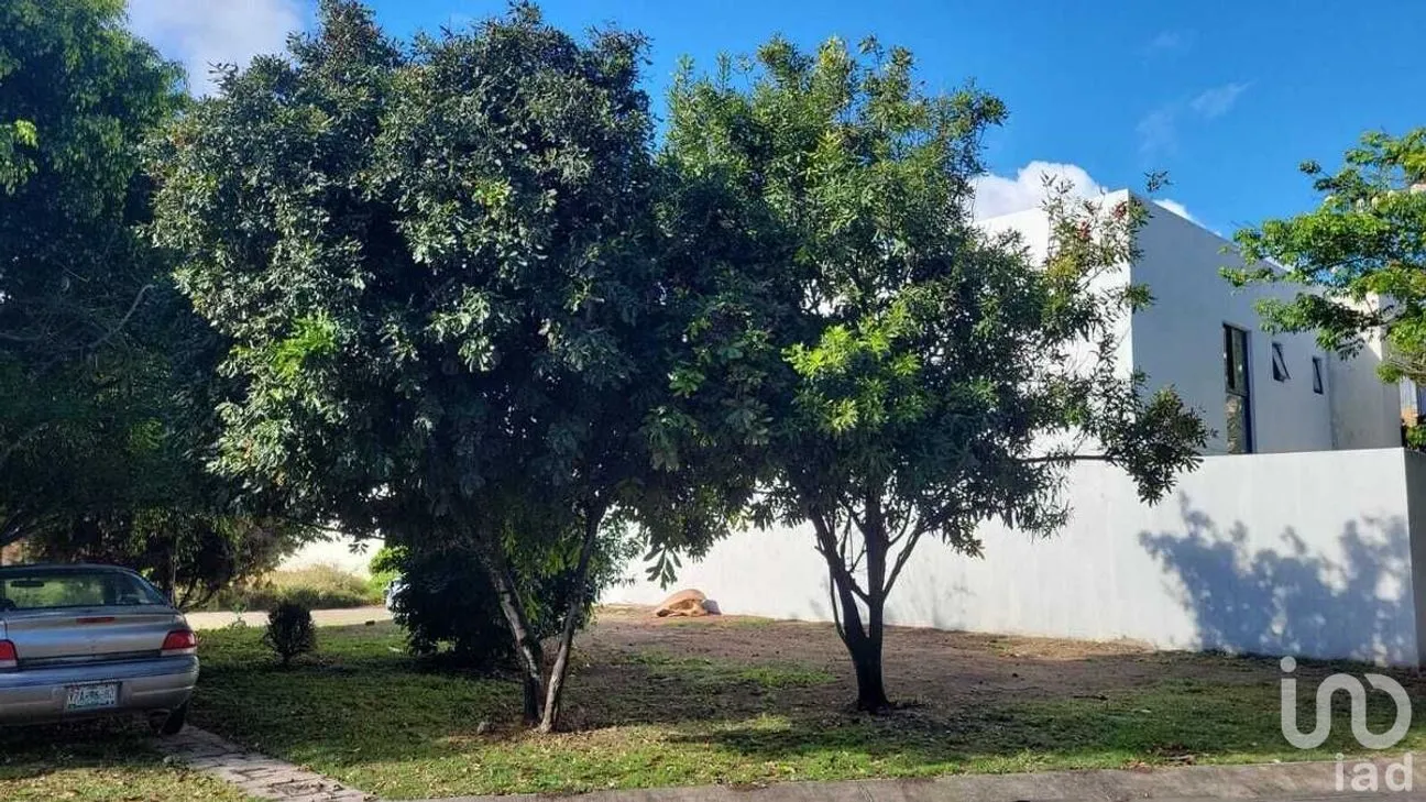 Terreno en Venta en Las Moras, Tlajomulco de Zúñiga, Jalisco | NEX-229773 | iad México | Foto 2 de 10