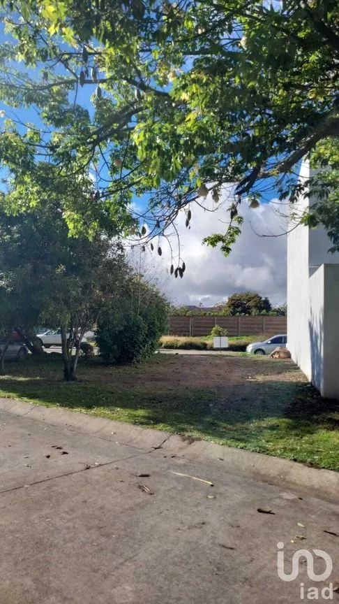 Terreno en Venta en Las Moras, Tlajomulco de Zúñiga, Jalisco | NEX-229773 | iad México | Foto 4 de 10