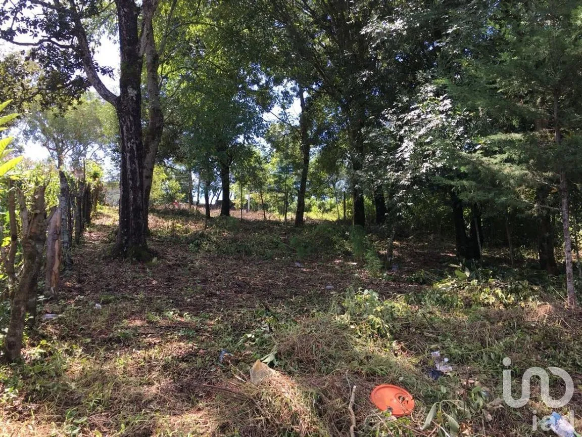 Terreno en Venta en San José, Teopisca, Chiapas | NEX-229474 | iad México | Foto 2 de 10