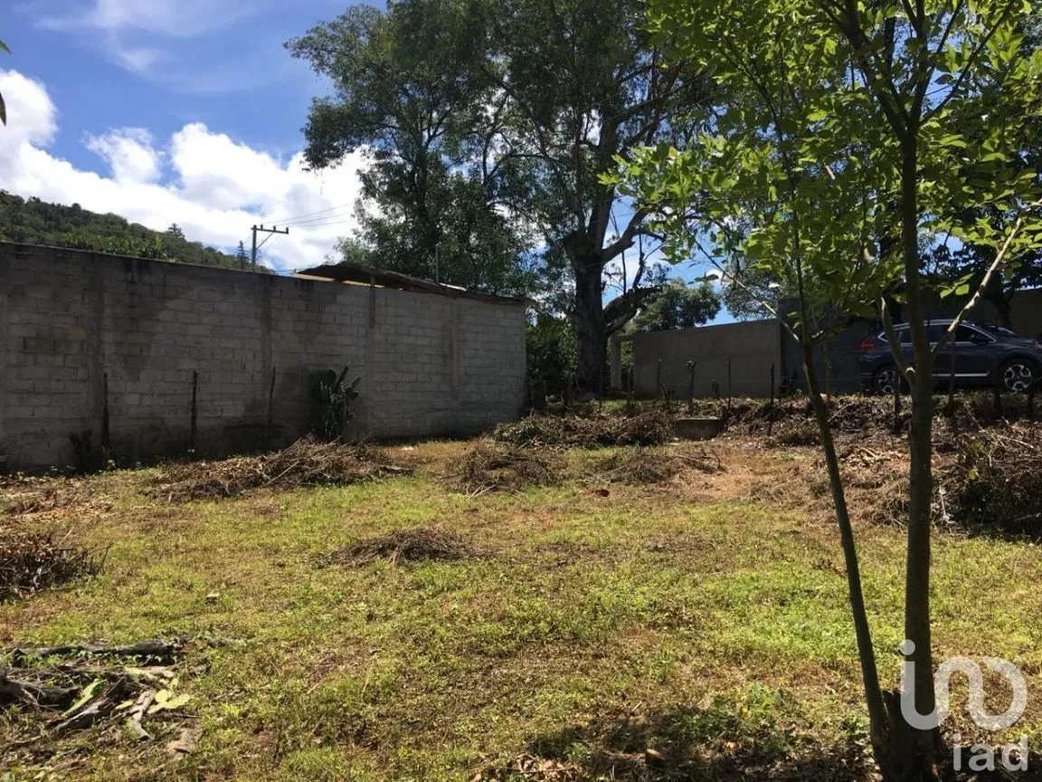 Terreno en Venta en San José, Teopisca, Chiapas | NEX-229474 | iad México | Foto 3 de 10