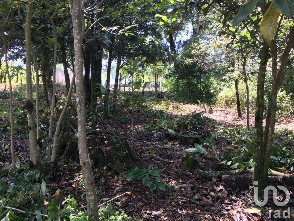 Terreno en Venta en San José, Teopisca, Chiapas | NEX-229474 | iad México | Foto 4 de 10