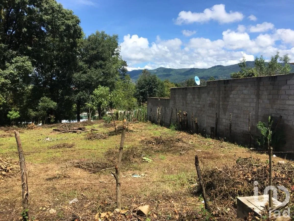 Terreno en Venta en San José, Teopisca, Chiapas | NEX-229474 | iad México | Foto 5 de 10