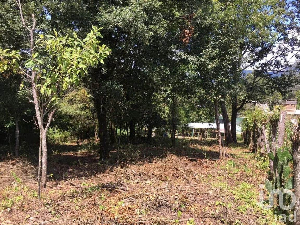 Terreno en Venta en San José, Teopisca, Chiapas | NEX-229474 | iad México | Foto 6 de 10