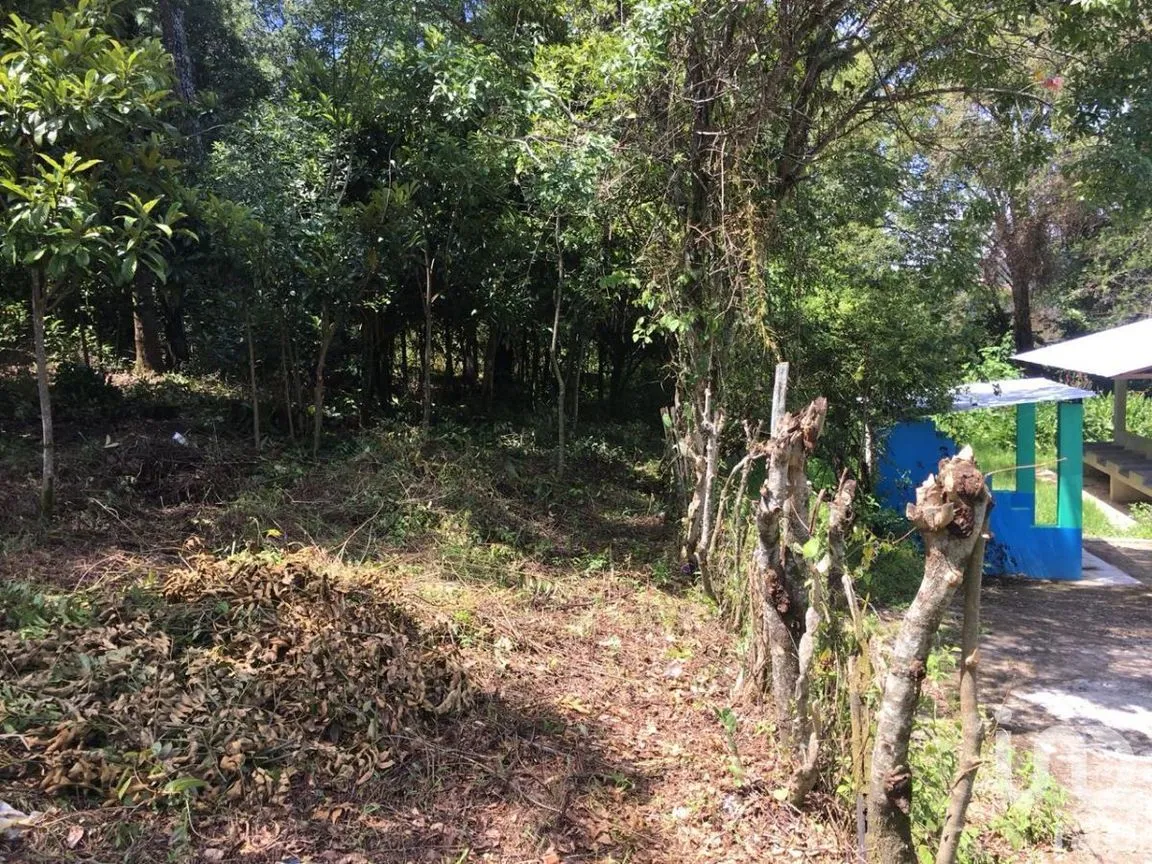 Terreno en Venta en San José, Teopisca, Chiapas | NEX-229474 | iad México | Foto 7 de 10