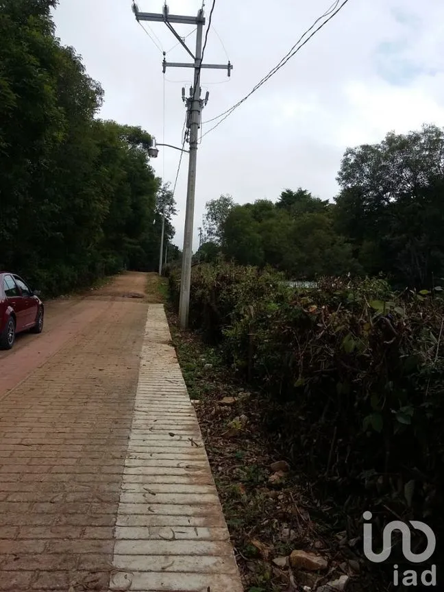 Terreno en Venta en San José, Teopisca, Chiapas | NEX-229474 | iad México | Foto 10 de 10